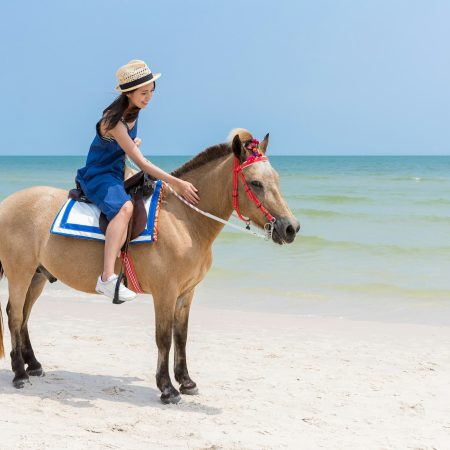 Young Woman riding horse in the sand beach